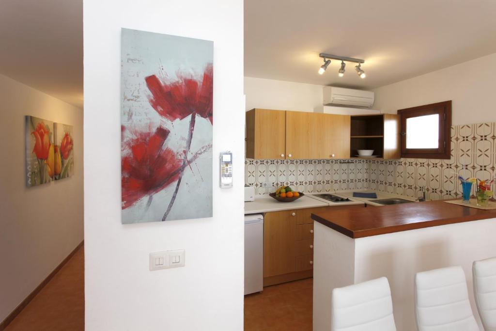 Typic Sandic Apartamento Es Cana