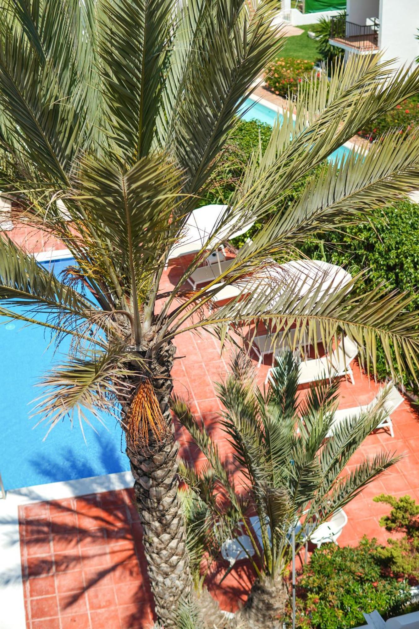 Typic Sandic Apartament